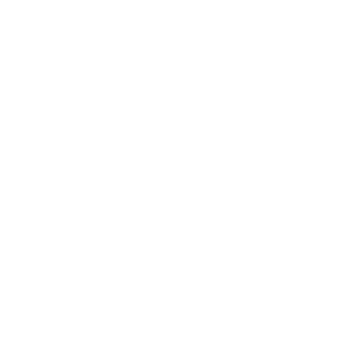 WP VIP