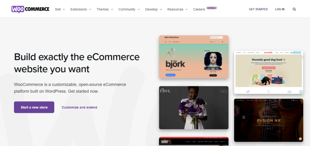 This picture shows the screenshot of the WooCommerce website