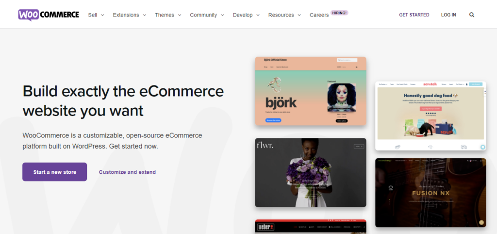 Dieses Bild zeigt einen Screenshot der WooCommerce-Website